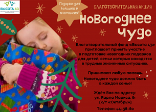 Новогоднее чудо
