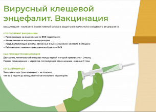 Декабрь: время думать о лете.